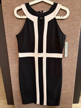 NWT Absolutely Famous Black and White Panel Sheath Dress